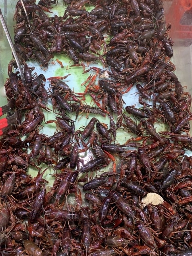 北海干货海鲜批发市场哪个便宜,北海菜市场买海鲜哪个最新鲜