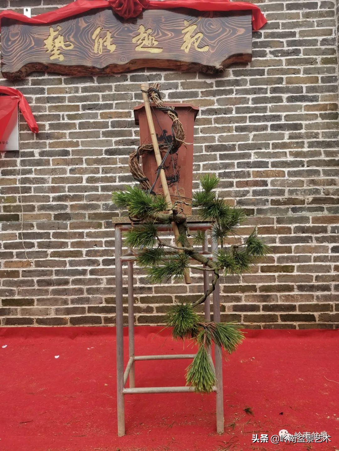 绿色金融业务发展好的银行,绿色银行的前景