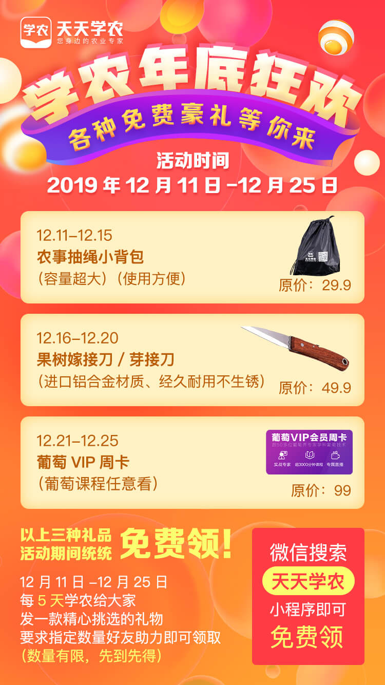 葡萄伤流止不住怎么办,葡萄伤流后怎么补救