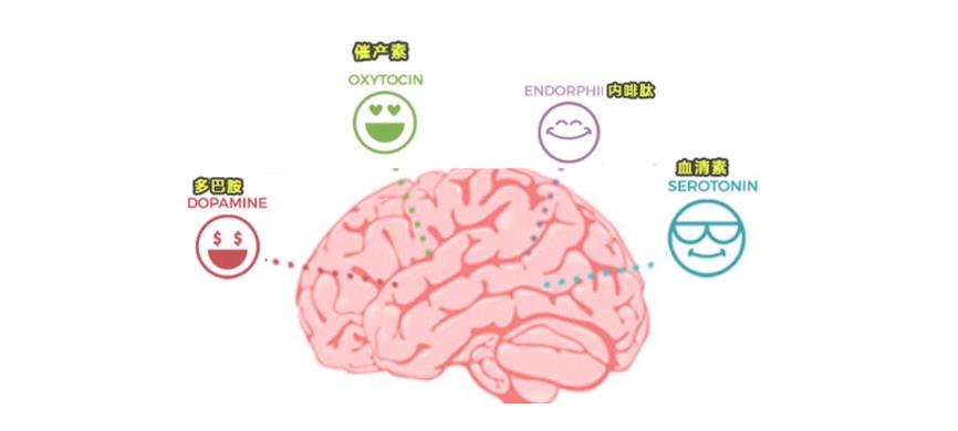 手游为何令人上瘾？如何让自己像打王者一样发了疯的学习