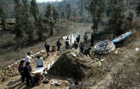 五树进宅人穷家败寓意是什么,五树进宅人穷家败详解