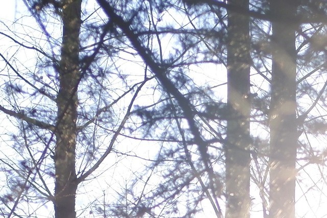 富士xc35f2定焦镜头怎么拍照,富士xc35mm和xc15-45mm