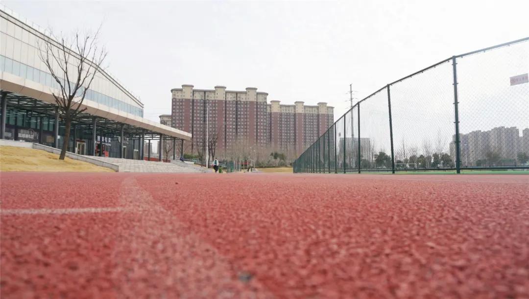 郑州免费游玩公园推荐,郑州新公园开放了吗