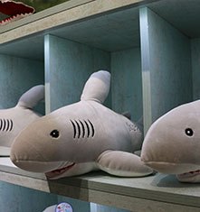 沈阳七星海世界乐园门票多少钱,沈阳七星海世界主题乐园开放时间