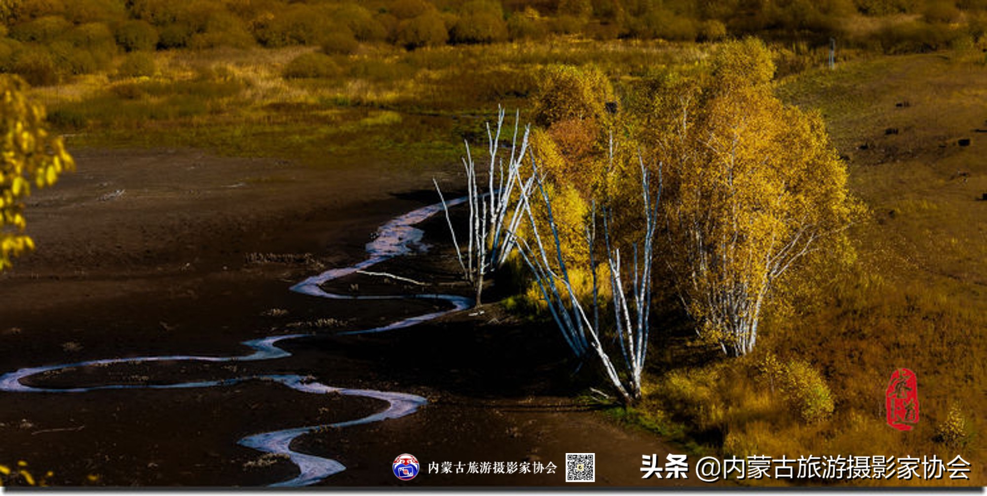 那山那水那滋味,那山那水那份爱
