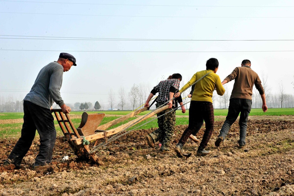 今年秋雨较多的地区有哪些,今年秋雨多是什么现象