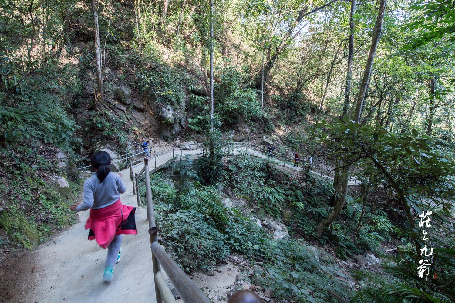 高黎贡山秘境森林,高黎贡山樱花谷温泉