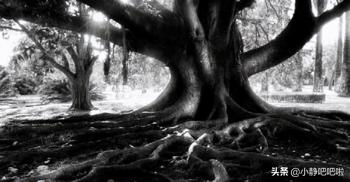 马达加斯加冷知识,马达加斯加的特点和路线