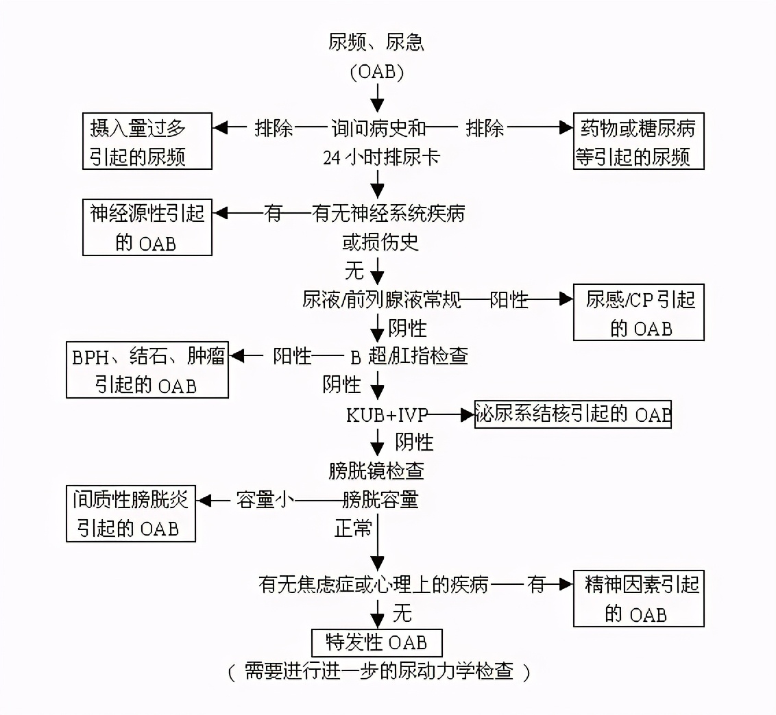尿频尿急早晨膀胱酸胀,膀胱脱垂导致尿频尿急