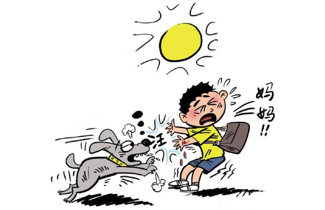 咬伤女童黑犬如何处置,被野狗咬伤如何索赔找不到主人