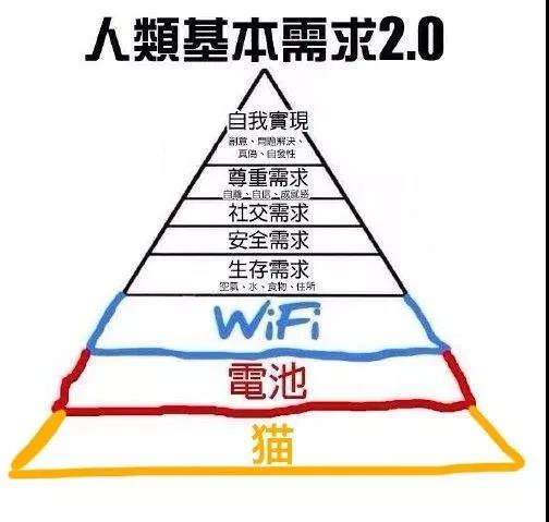 晚清末年，人们认为猫毛蓄电可以治病