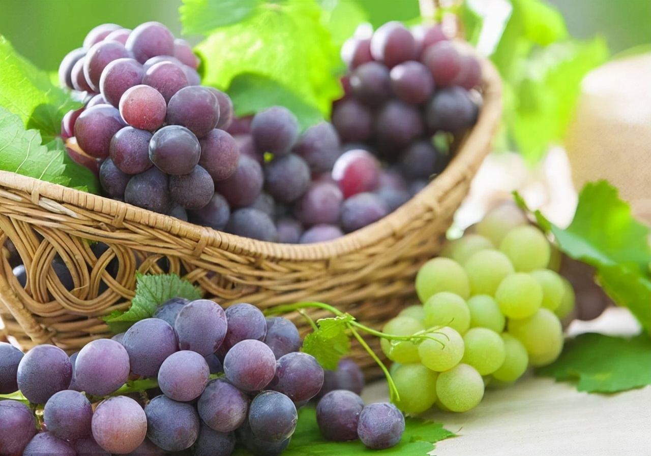 糖分低的水果有哪些孕妇适合吃的,孕妇前期吃什么水果好对胎儿好