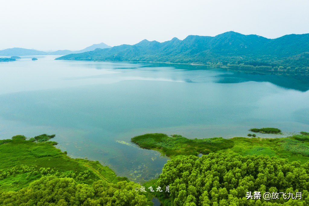 北京哪里有薰衣草花海景点,北京附近的六环外薰衣草花海