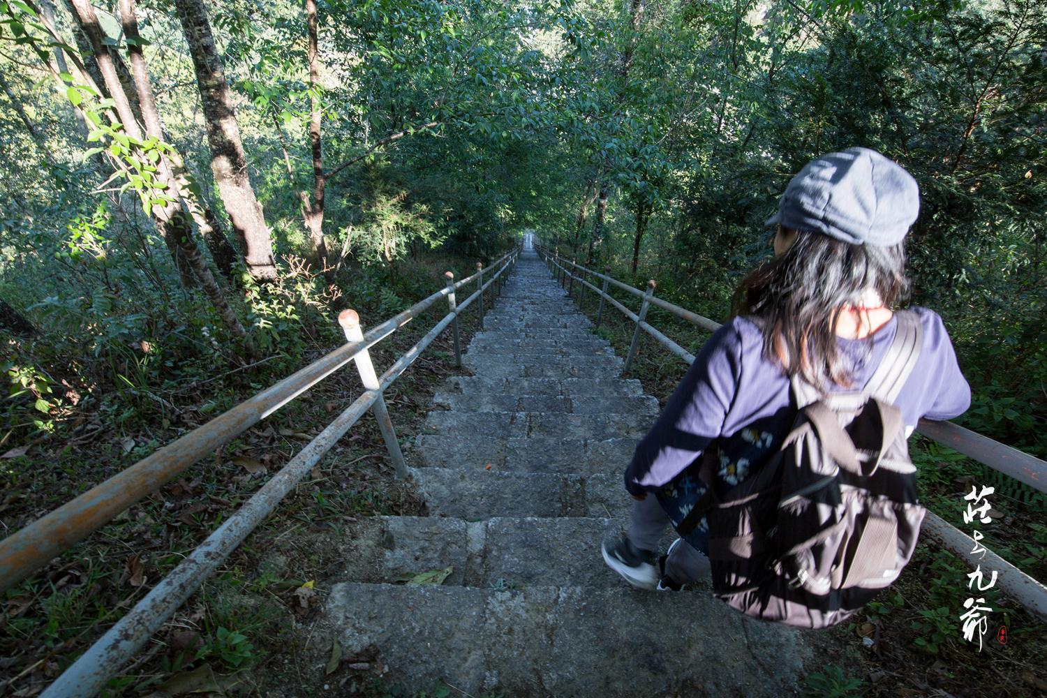 高黎贡山秘境森林,高黎贡山樱花谷温泉