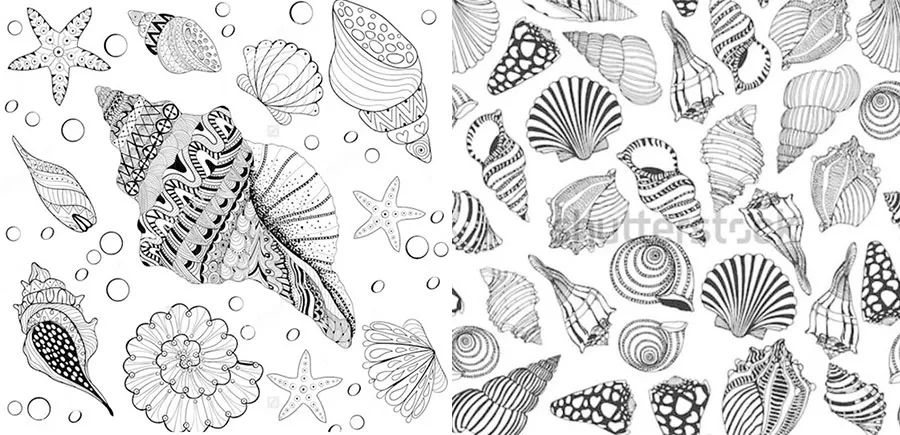 椰树海滩贝壳怎么画,海滩上的贝壳怎么画又简单又好看