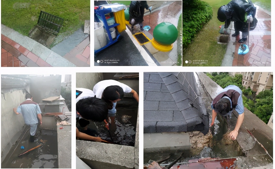 中国十大物业品牌排名,十大最强物业排名