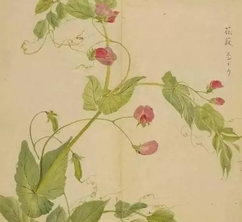 五千年来最美的20首诗,100首美到窒息的诗句