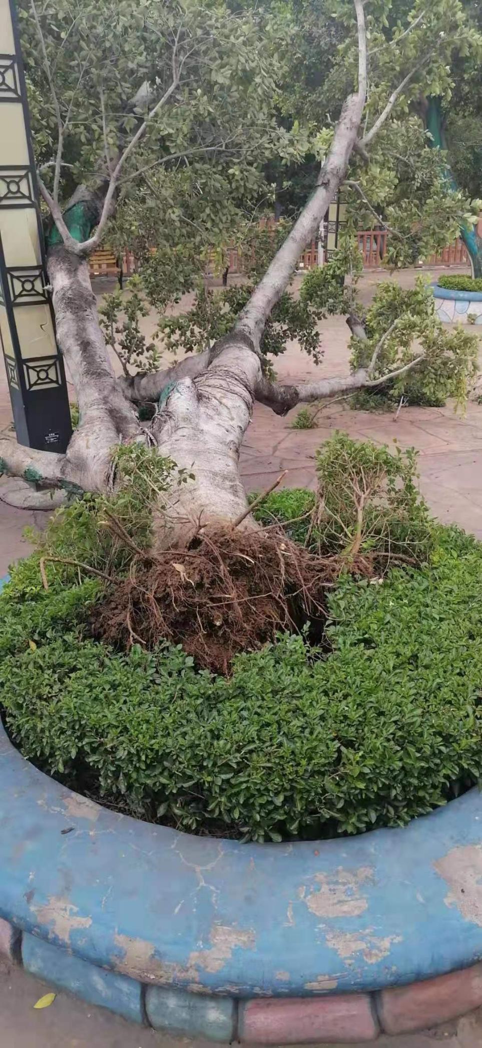 鑫岛乐园欢乐世界,鑫岛欢乐世界视频