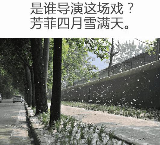 体验在安徽生活二十年,在马鞍山生活的经历