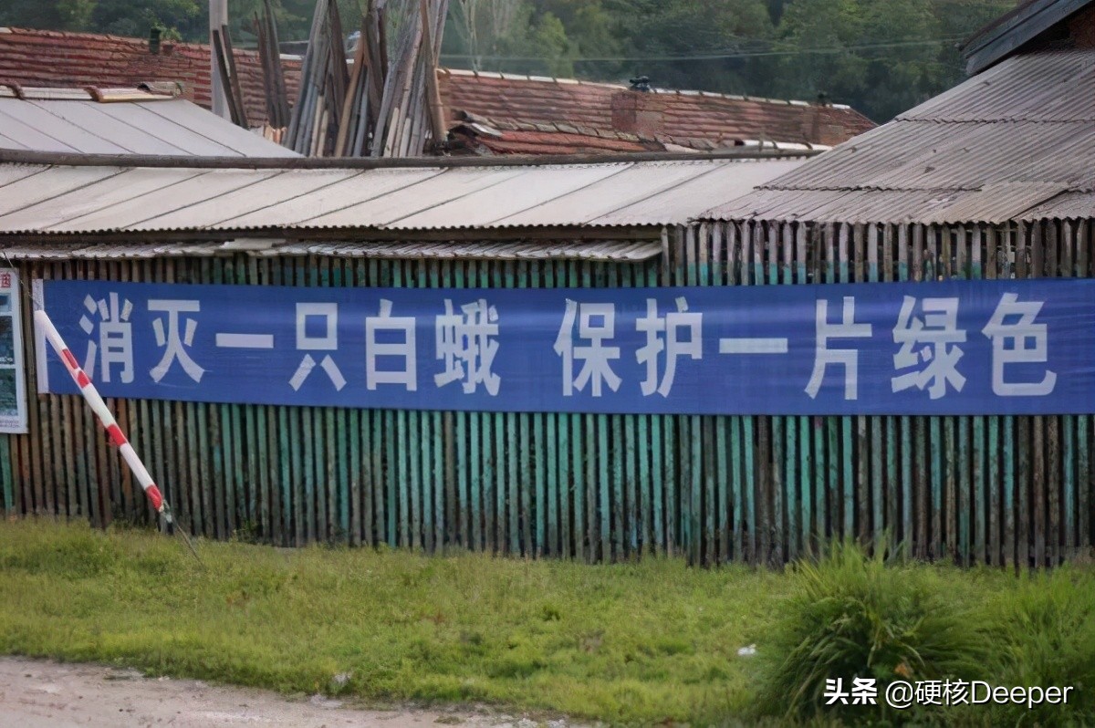 中国海关截获美国神秘包裹,美国包裹发现黑蝇