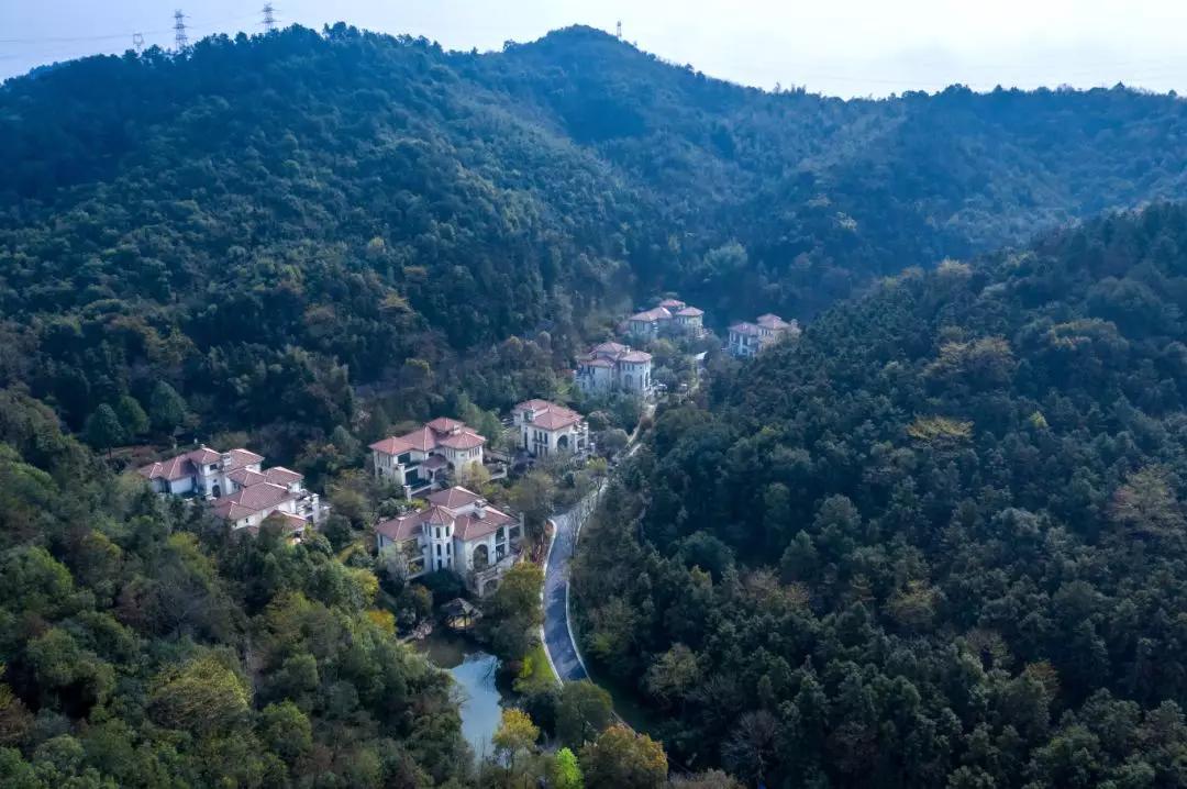 杭州1.6个亿的豪宅合院,杭州最贵的房子1.16亿起拍