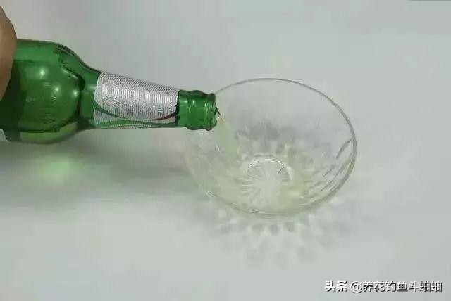 栀子花叶片发黄怎么办小妙招,栀子花能用啤酒兑水喷雾叶子吗