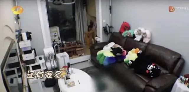 看了明星的豪宅有什么感想,看豪宅大牌家具设计