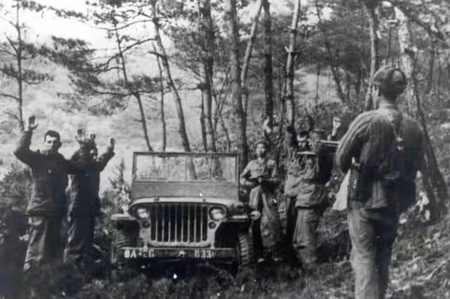 中国狙神张桃芳动画叫什么,中国狙神张桃芳短视频