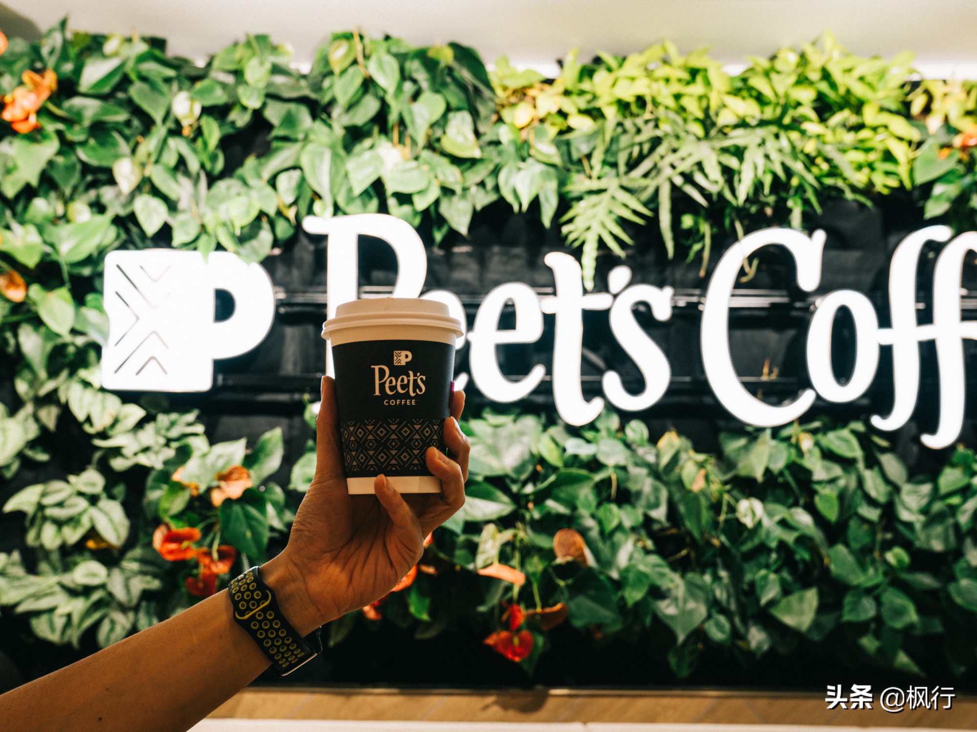 北京必去的咖啡店推荐,从什刹海到东单这5家个性咖啡馆