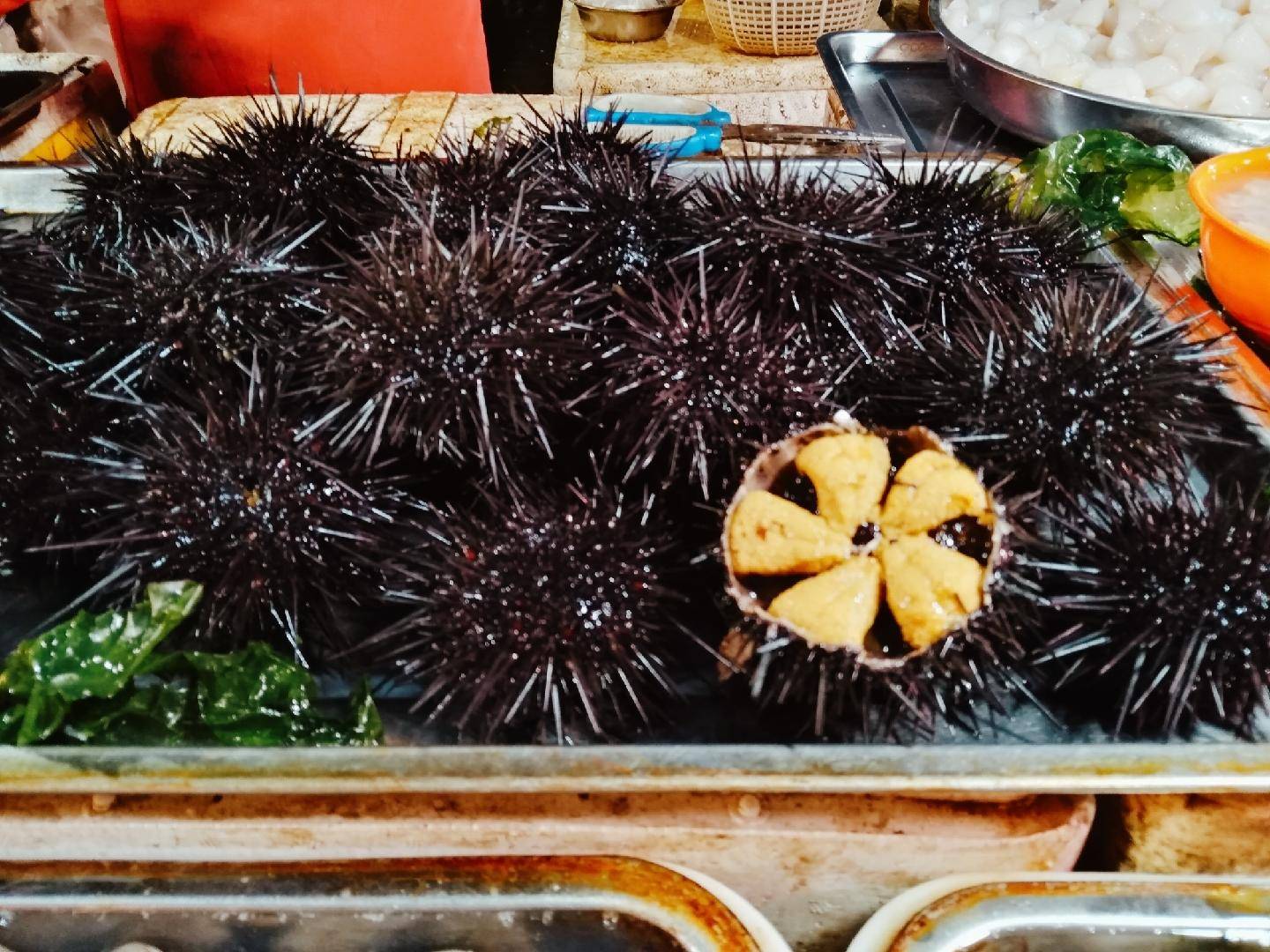 10元的鲍鱼能买吗,10元一斤的鲍鱼