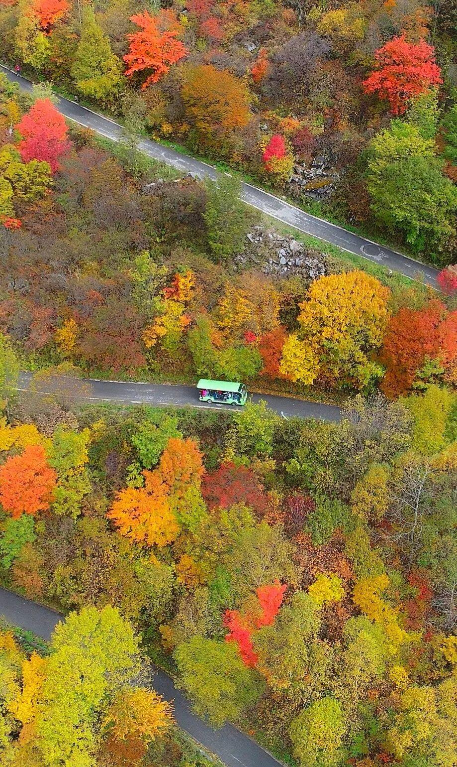 九寨沟精致小众,九寨沟风景不输瑞士
