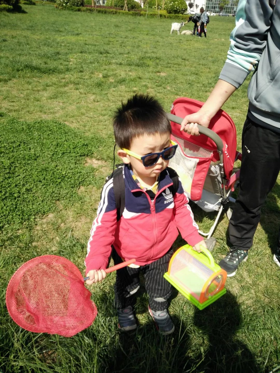 宝宝太阳眼镜怎么选?凹造型先等等,看看这几个标准有没有?