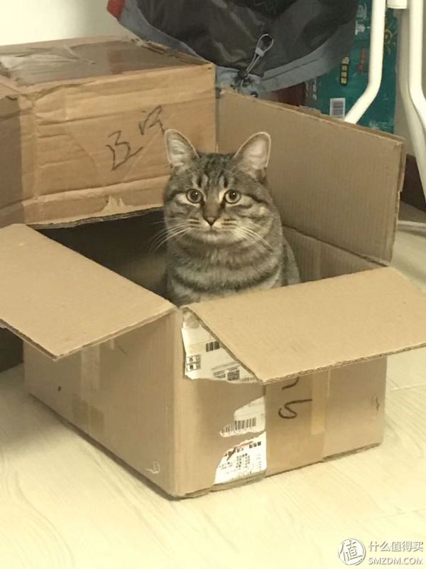 戴森买v7还是v8怎么选,双11戴森吸尘器价格