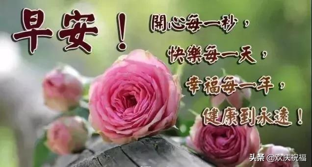 超漂亮的早上好祝福语动画表情图,超赞早上好问候漂亮图片表情带字