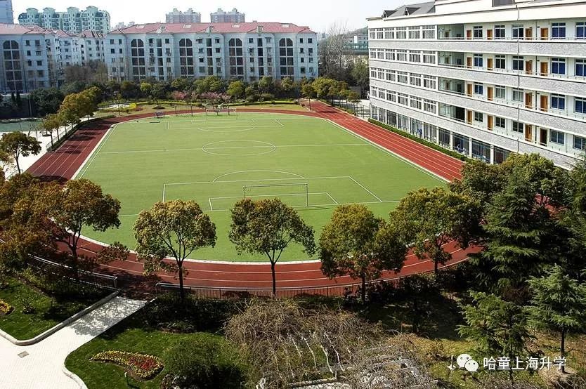 上海上外是哪几所学校,上外大学在全国排名多少