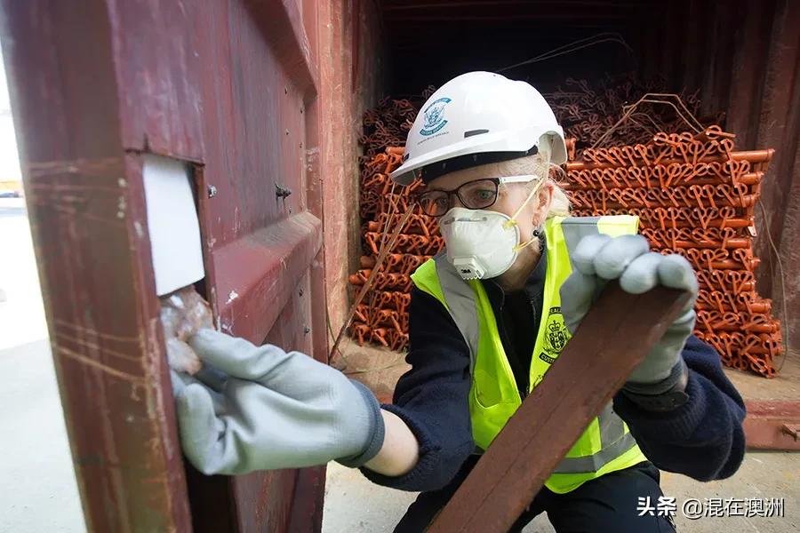 新西兰华人,新西兰入境香烟多少钱一包