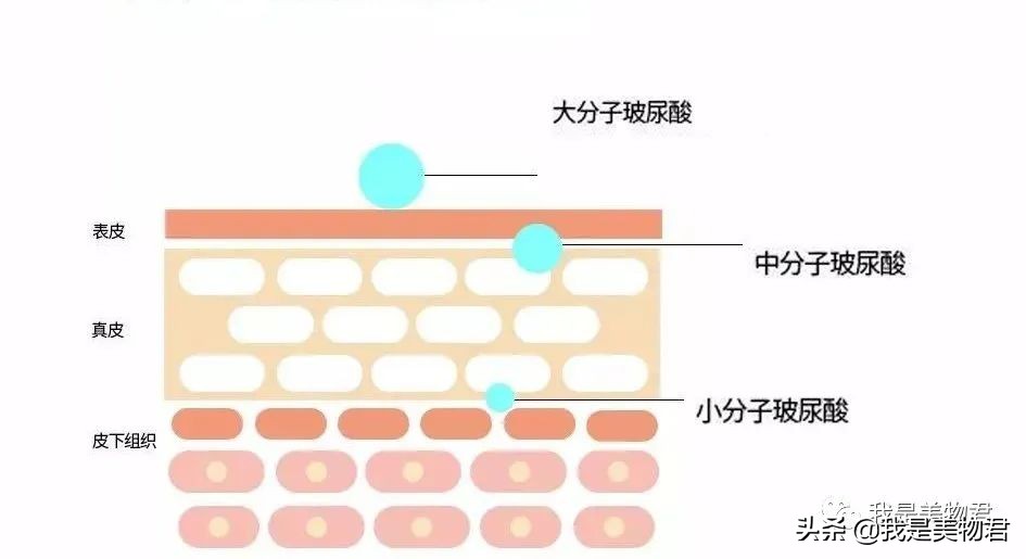 老虎面膜叫什么,老虎面膜是含有激素的面膜吗