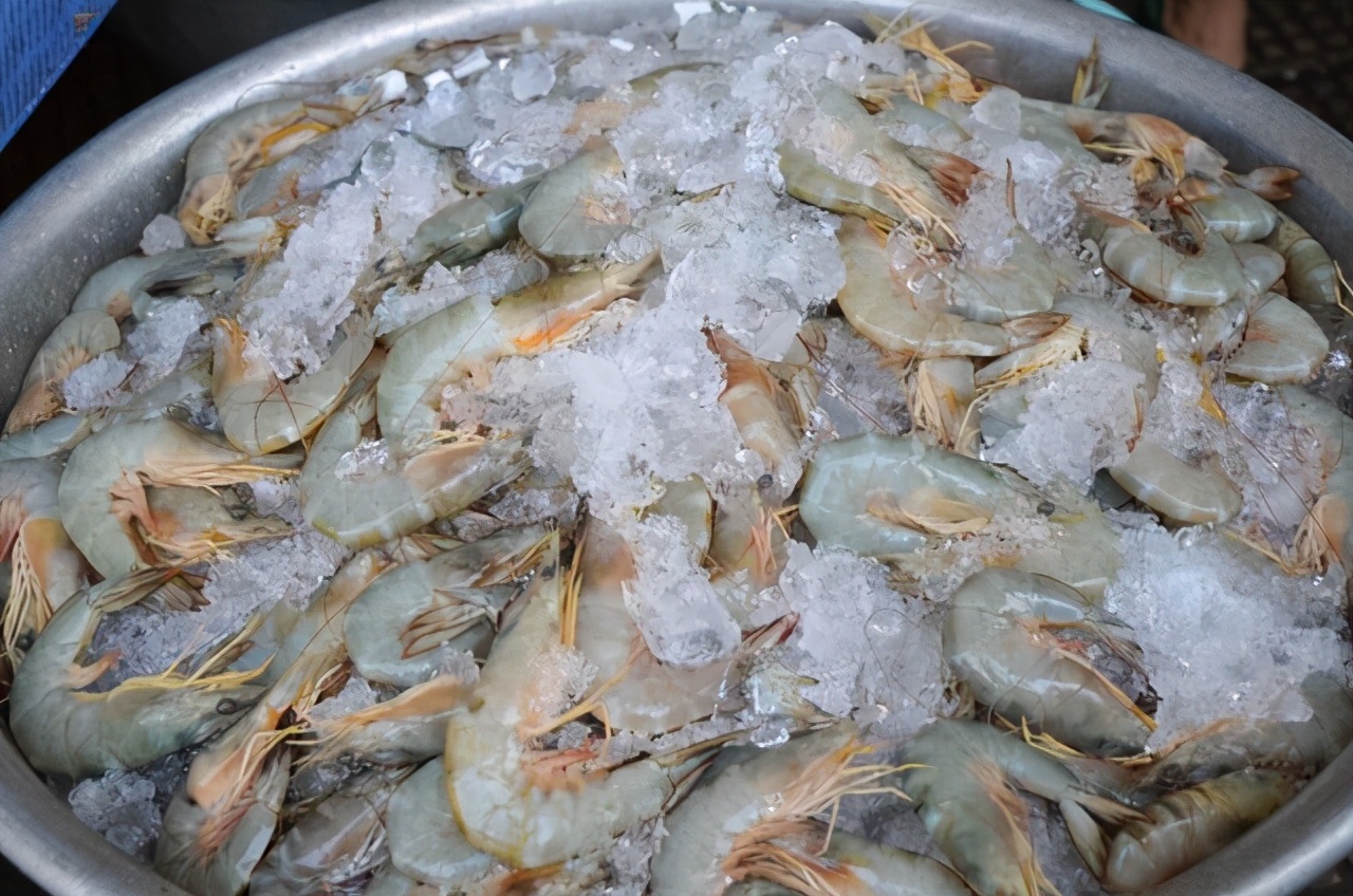 柬埔寨都这么潮吗,柬埔寨是什么样