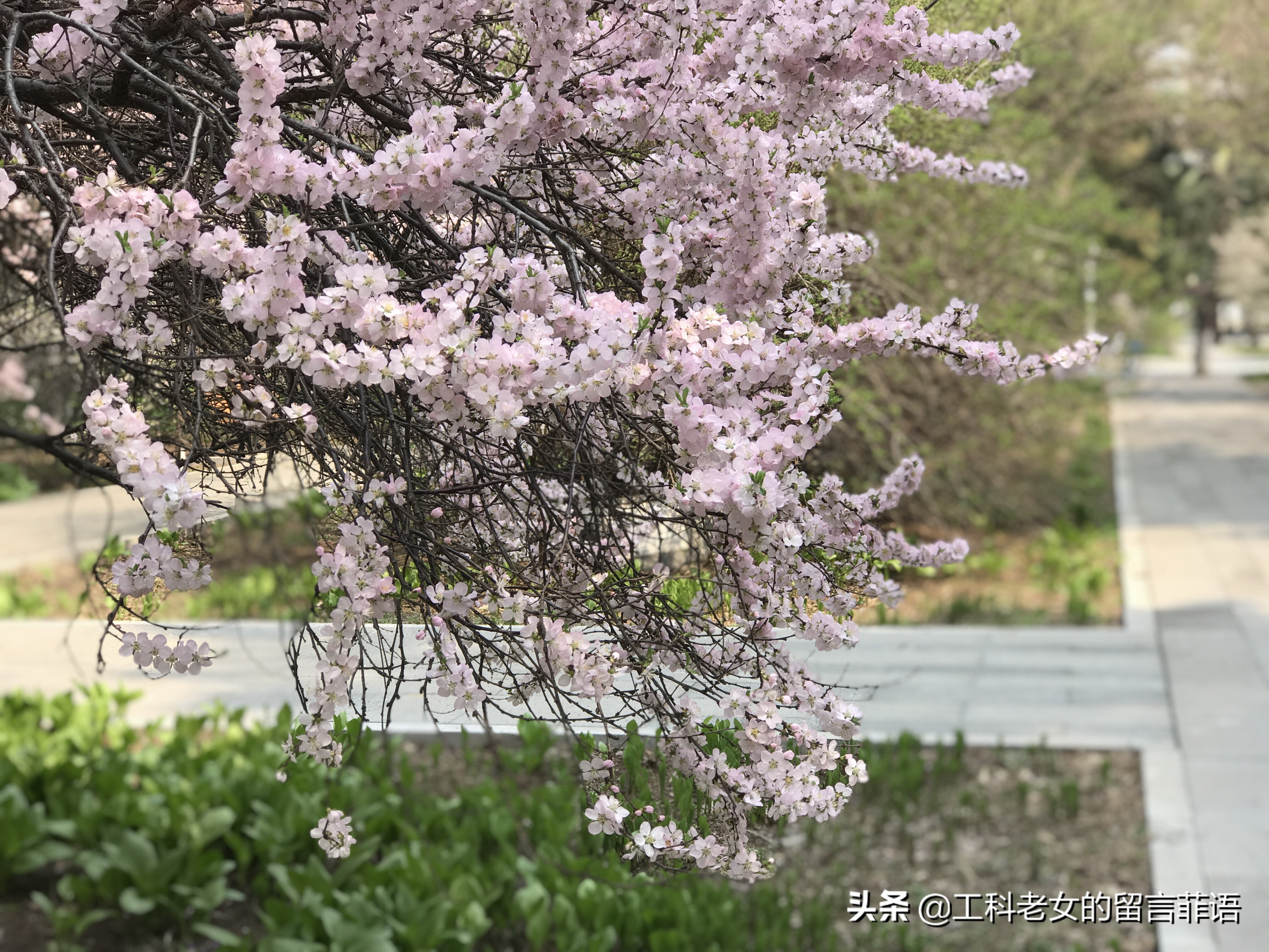 带你领略自然美,带你领略春天独有的浪漫
