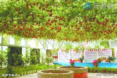 珠海市旅游必去十大景点排名,2021珠海免费景点珠海小九寨沟