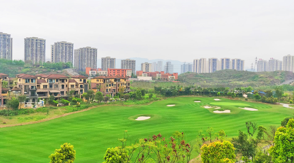 重庆茶叶基地茶园,重庆有几个茶园