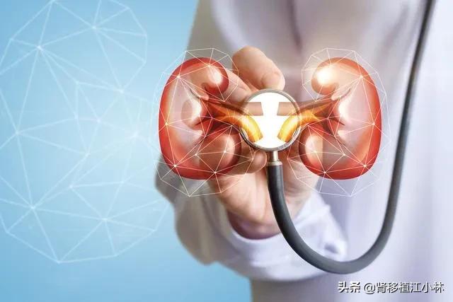 移植肾的亲身经历,肾移植术后10年的真实案例