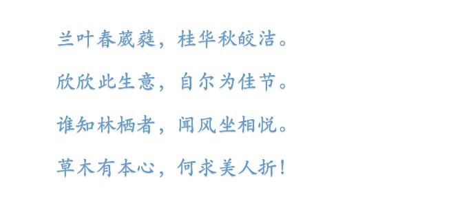 当你迷茫的时候记得不忘初心,当你迷茫时记得不忘初心