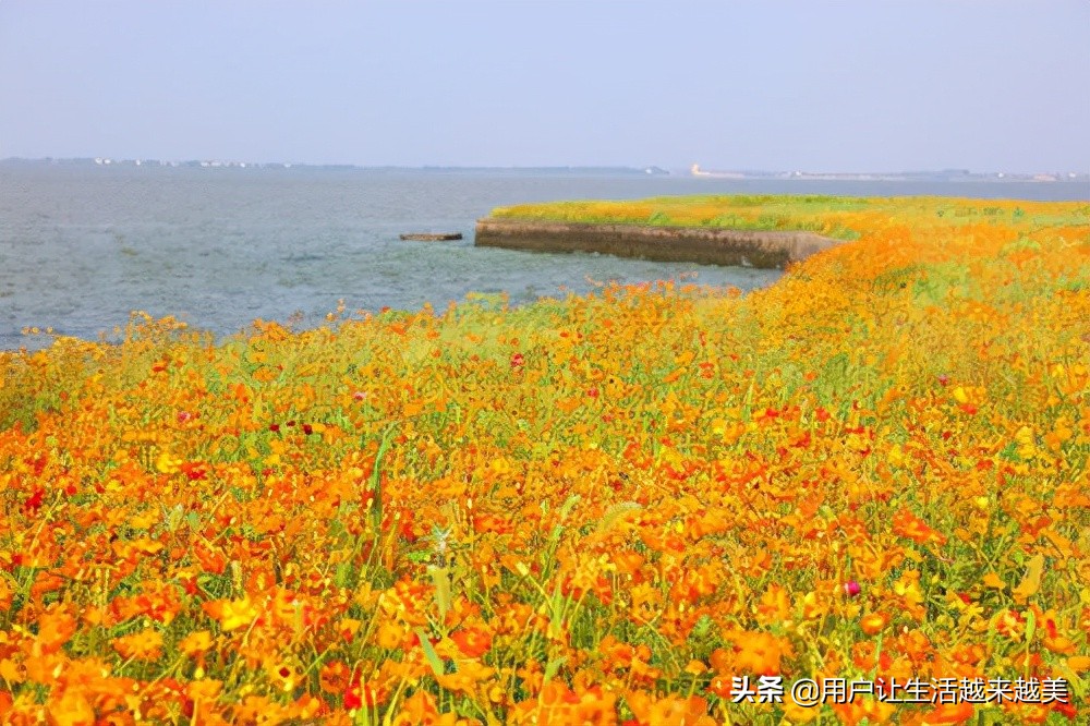 上海淀山湖好去处,上海淀山湖有什么好说