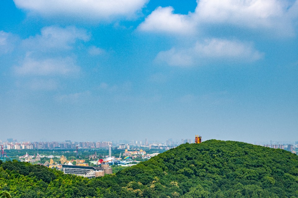 上海旅游攻略必去景点春节,春节上海旅游攻略必去景点大全