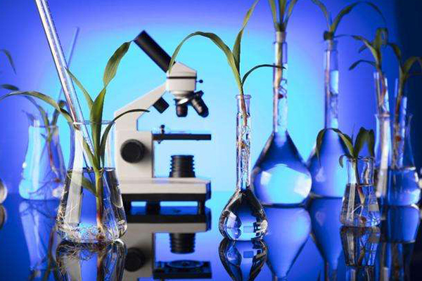 考研十大冷门学科排行榜,考研最冷门的十大专业排行榜