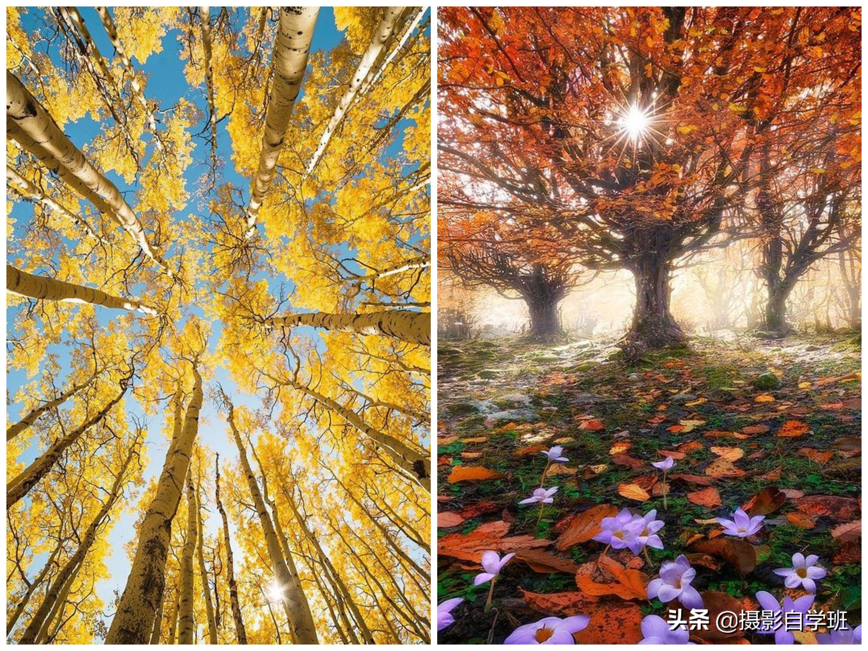 100个风景拍照技巧,风景摄影照片拍摄技巧