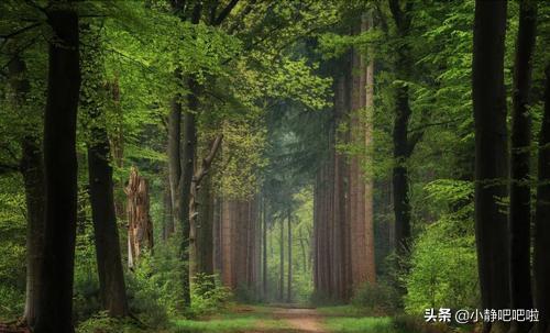 你不知道的国家冷知识捷克,你不知道的国家冷知识立陶宛