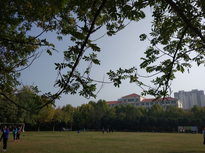 河南省16所筹建高校,河南省高校十四所