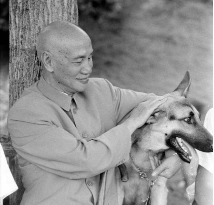 蒋介石晚年秘闻:遭飞来车祸,肛肠出血尿血,死因或与宋美龄有关